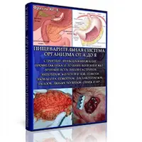 Лечение болезней органов и тканей системы Пищеварения – методики