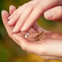 Дистанционный семинар по Ретранслятору рейки