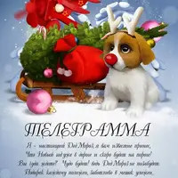 Новогодняя корреспонденция от Деда Мороза и Снегурочки-2