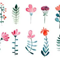 Adobe Illustrator для стокеров