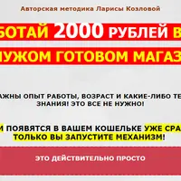 Как заработать на чужом готовом магазине