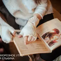 Митенки «Морозное Утро»