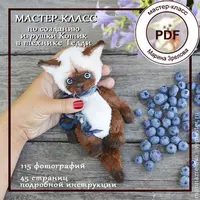 МК по сиамскому котику и лисенок Фенек