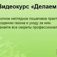 Делаем красивый газон