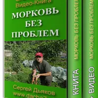 Морковь без проблем