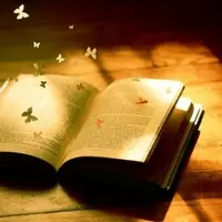 Нейропрограммирование 29,30