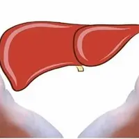 Очищение печени от А до Я