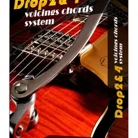 Drop 2&4 voicings chords system