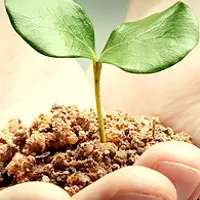 Интераура - Нормализация работы дыхательной системы