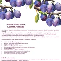 Иллюстрация. Акварель