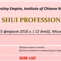 Ба Цзы и Фэн Шуй. Профессиональный продвинутый