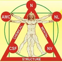 Методические пособия для 3 курса обучения Академии прикладной кинезиологии