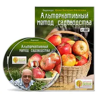 Альтернативный метод садоводства